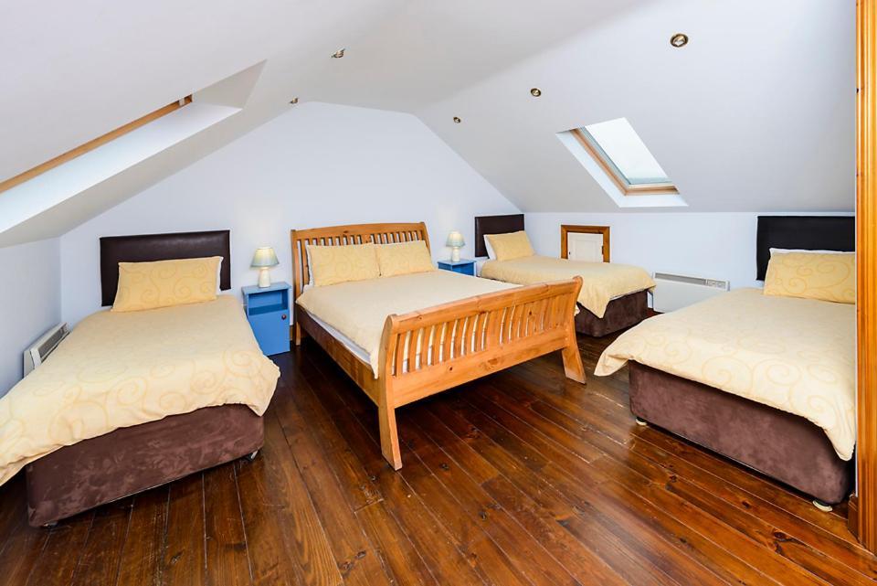 An Capall Dubh B&B Dingle Dış mekan fotoğraf